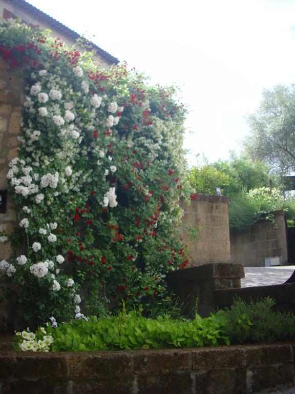 Chiara E Benedetta Villa Degli Ulivi Ορβιέτο Εξωτερικό φωτογραφία